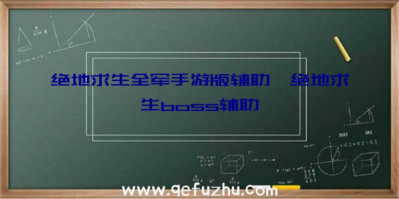 绝地求生全军手游版辅助、绝地求生boss辅助