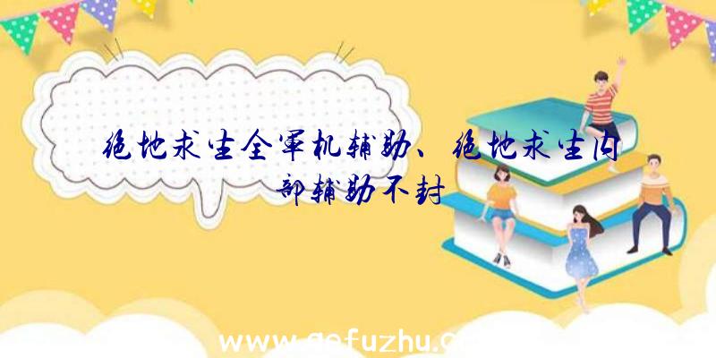 绝地求生全军机辅助、绝地求生内部辅助不封