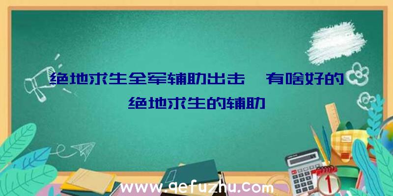 绝地求生全军辅助出击、有啥好的绝地求生的辅助