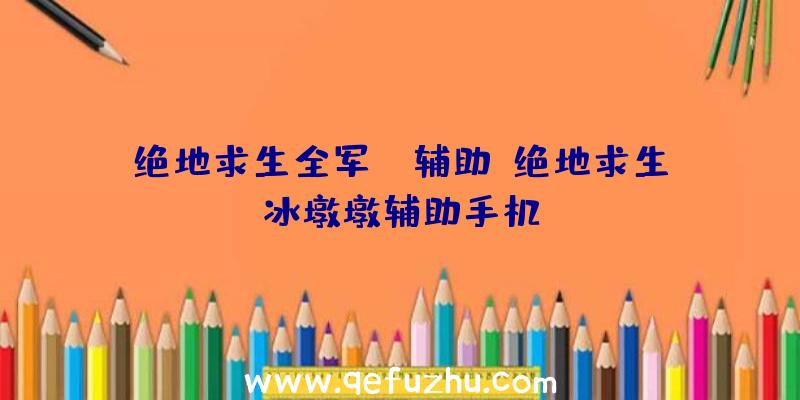 绝地求生全军pc辅助、绝地求生冰墩墩辅助手机