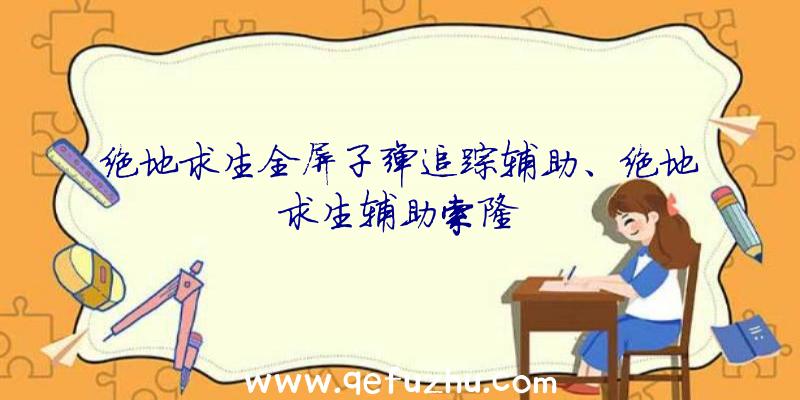 绝地求生全屏子弹追踪辅助、绝地求生辅助索隆