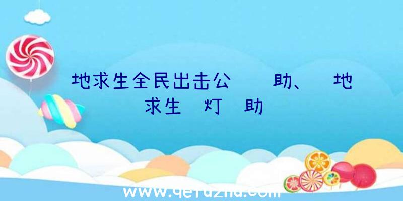 绝地求生全民出击公鸡辅助、绝地求生蓝灯辅助