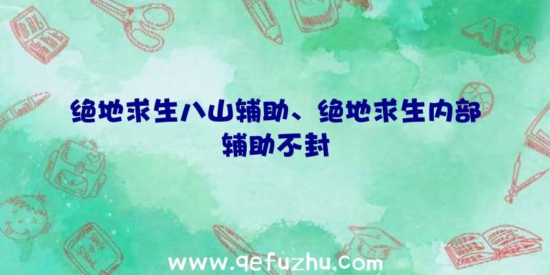 绝地求生八山辅助、绝地求生内部辅助不封