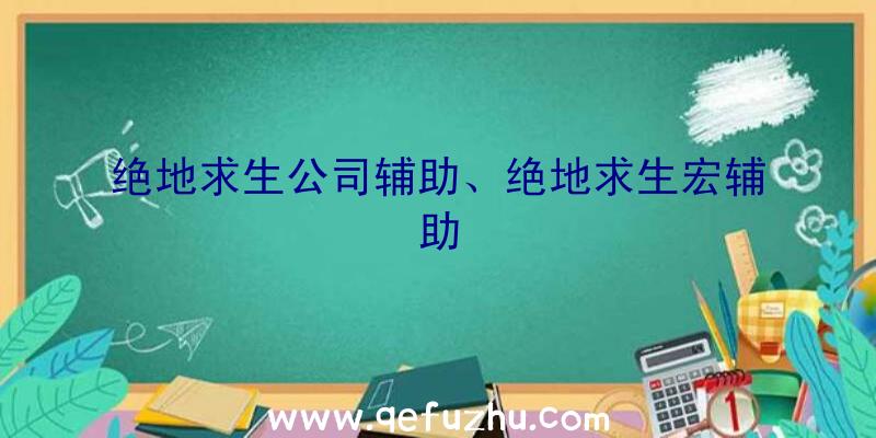 绝地求生公司辅助、绝地求生宏辅助