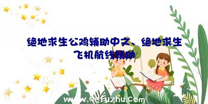 绝地求生公鸡辅助中文、绝地求生飞机航线辅助