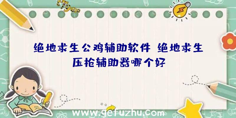 绝地求生公鸡辅助软件、绝地求生压枪辅助器哪个好