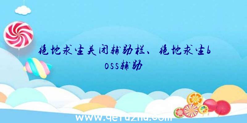 绝地求生关闭辅助栏、绝地求生boss辅助