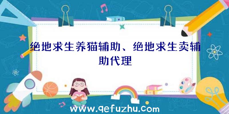 绝地求生养猫辅助、绝地求生卖辅助代理