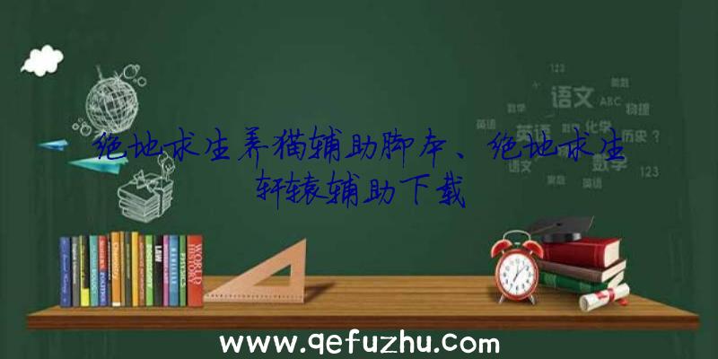 绝地求生养猫辅助脚本、绝地求生轩辕辅助下载