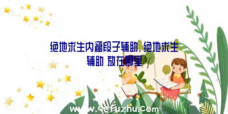 绝地求生内涵段子辅助、绝地求生辅助