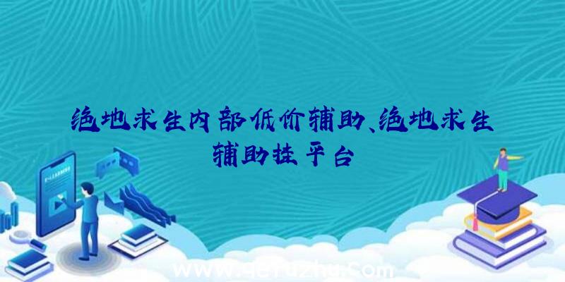 绝地求生内部低价辅助、绝地求生辅助挂平台