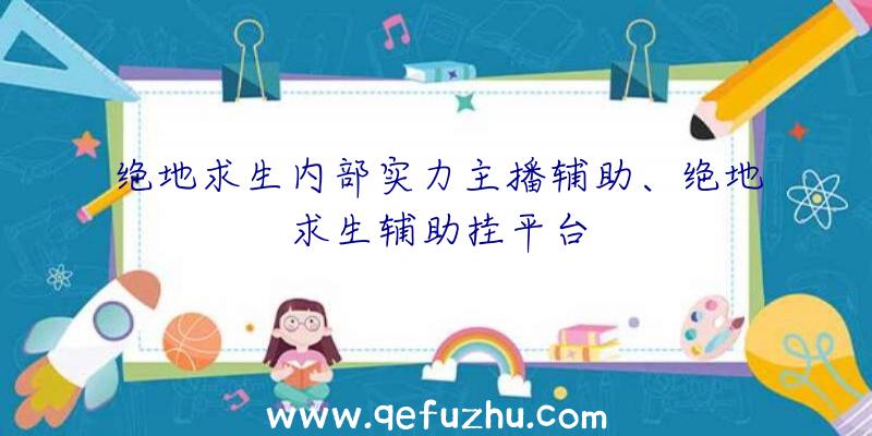 绝地求生内部实力主播辅助、绝地求生辅助挂平台