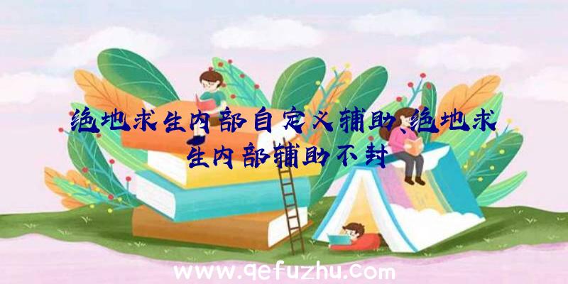 绝地求生内部自定义辅助、绝地求生内部辅助不封