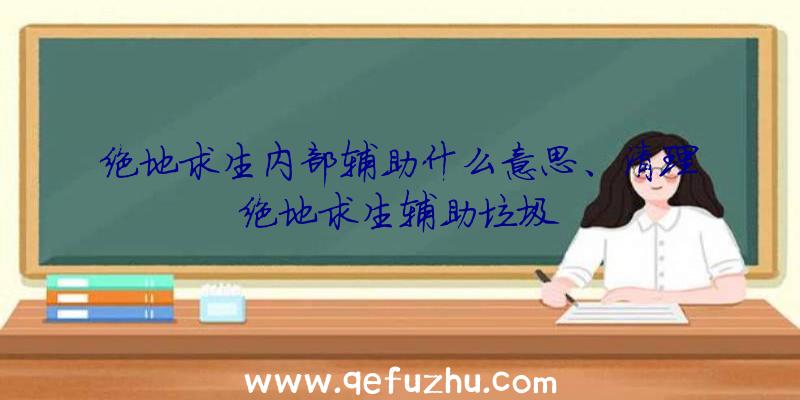 绝地求生内部辅助什么意思、清理绝地求生辅助垃圾