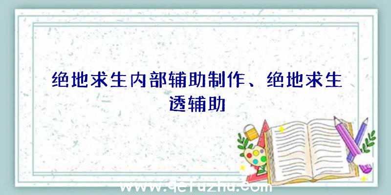 绝地求生内部辅助制作、绝地求生透辅助