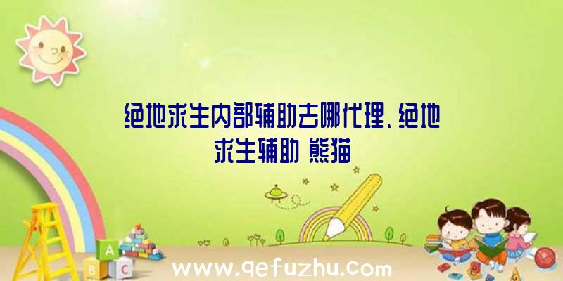 绝地求生内部辅助去哪代理、绝地求生辅助