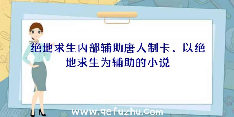 绝地求生内部辅助唐人制卡、以绝地求生为辅助的小说