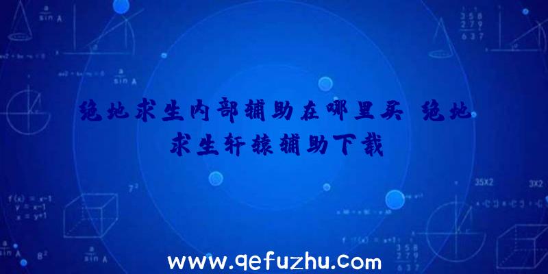 绝地求生内部辅助在哪里买、绝地求生轩辕辅助下载