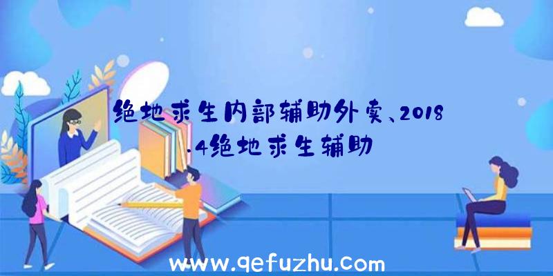 绝地求生内部辅助外卖、2018.4绝地求生辅助