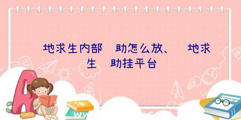 绝地求生内部辅助怎么放、绝地求生辅助挂平台