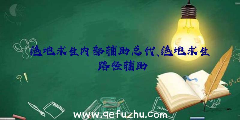 绝地求生内部辅助总代、绝地求生