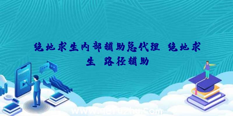 绝地求生内部辅助总代理、绝地求生