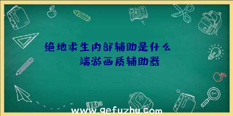 绝地求生内部辅助是什么、pubg端游画质辅助器