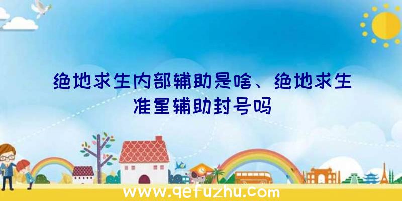 绝地求生内部辅助是啥、绝地求生准星辅助封号吗