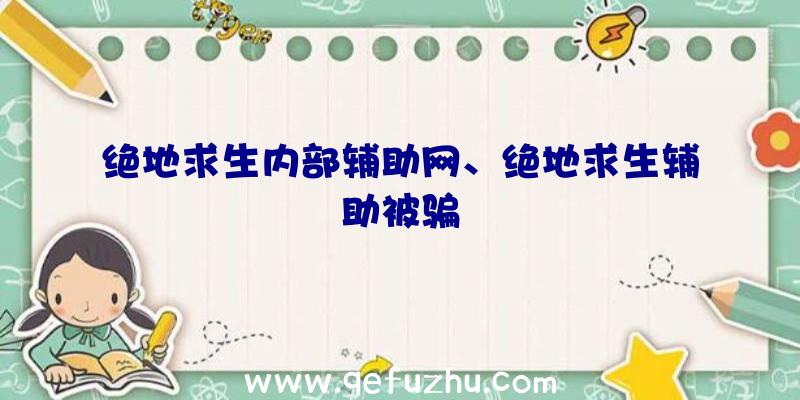 绝地求生内部辅助网、绝地求生辅助被骗