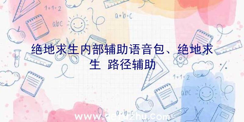 绝地求生内部辅助语音包、绝地求生