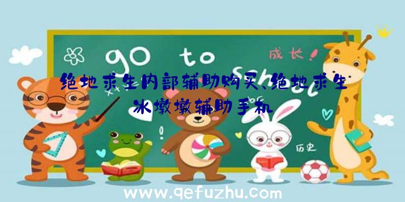 绝地求生内部辅助购买、绝地求生冰墩墩辅助手机