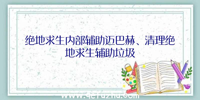 绝地求生内部辅助迈巴赫、清理绝地求生辅助垃圾