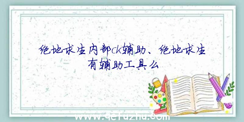 绝地求生内部ck辅助、绝地求生有辅助工具么