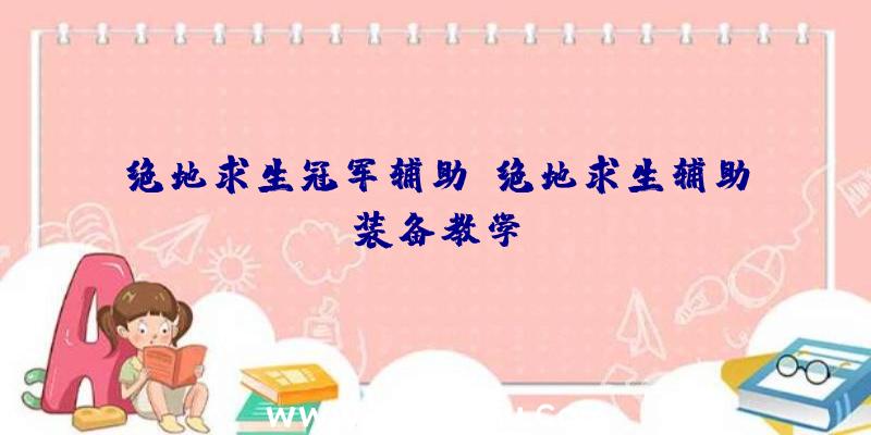 绝地求生冠军辅助、绝地求生辅助装备教学