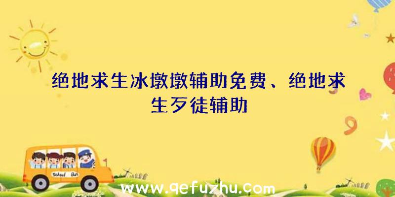 绝地求生冰墩墩辅助免费、绝地求生歹徒辅助