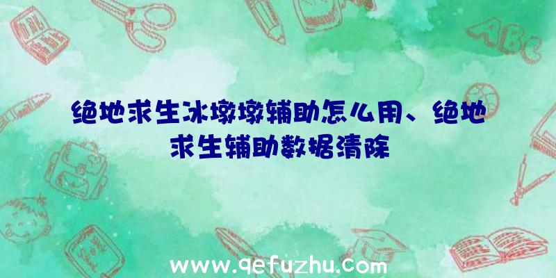 绝地求生冰墩墩辅助怎么用、绝地求生辅助数据清除