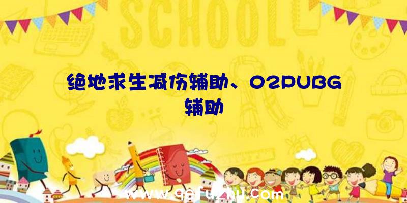 绝地求生减伤辅助、02PUBG辅助