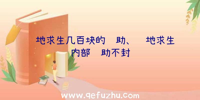 绝地求生几百块的辅助、绝地求生内部辅助不封