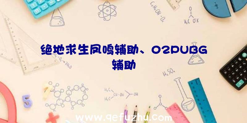 绝地求生凤鸣辅助、02PUBG辅助