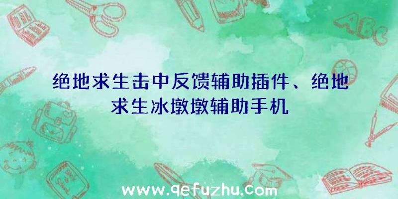 绝地求生击中反馈辅助插件、绝地求生冰墩墩辅助手机