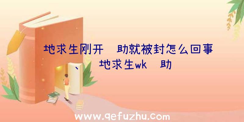 绝地求生刚开辅助就被封怎么回事、绝地求生wk辅助