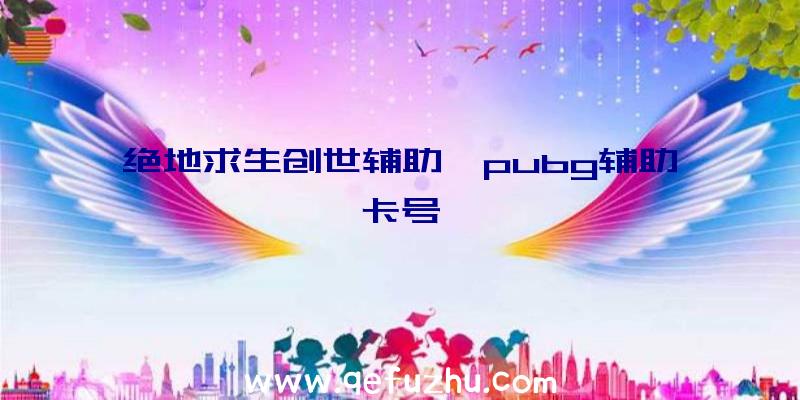 绝地求生创世辅助、pubg辅助卡号