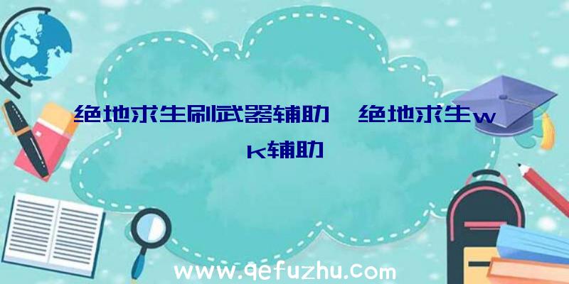 绝地求生刷武器辅助、绝地求生wk辅助