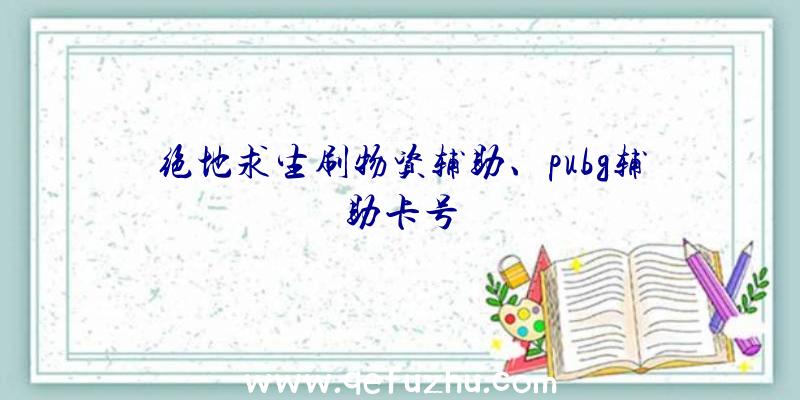 绝地求生刷物资辅助、pubg辅助卡号