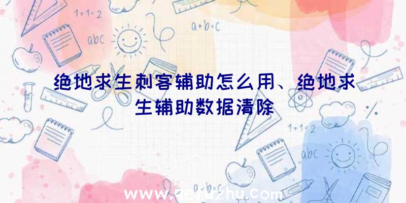 绝地求生刺客辅助怎么用、绝地求生辅助数据清除