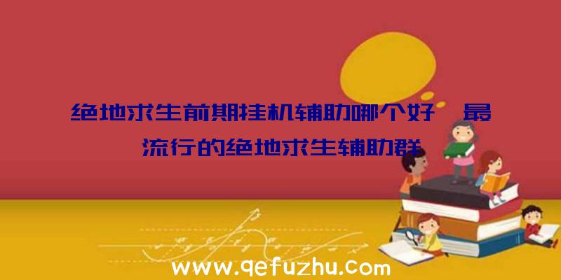 绝地求生前期挂机辅助哪个好、最流行的绝地求生辅助群