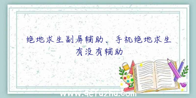 绝地求生副屏辅助、手机绝地求生有没有辅助