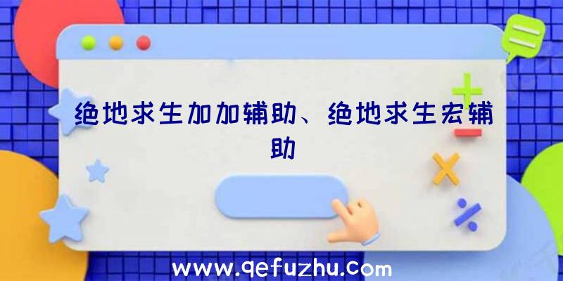 绝地求生加加辅助、绝地求生宏辅助