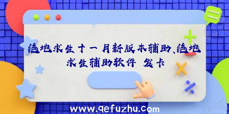 绝地求生十一月新版本辅助、绝地求生辅助软件