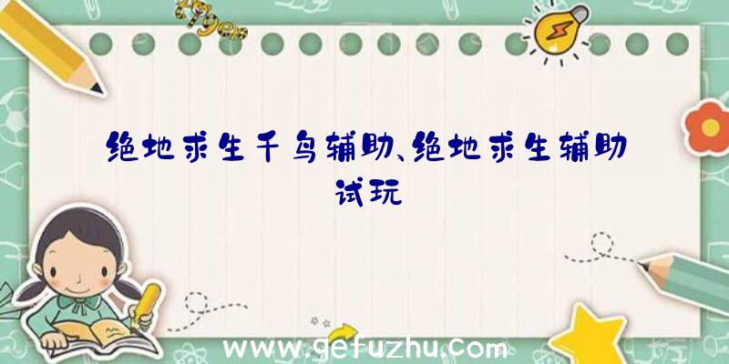 绝地求生千鸟辅助、绝地求生辅助试玩